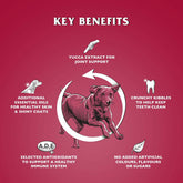 V3HE538C62AB43F611F584ED34481DB2608R6450252P2